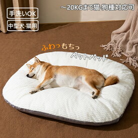 ペットベッド ふわふわ かわいい 犬 猫 中型犬 ベッド 通年 洗濯可能 もちもち ペット ベッド M Lサイズ 2タイプ ソファ オーバル クッション マット 柔らかい もこもこ 防寒 10kg 20kg