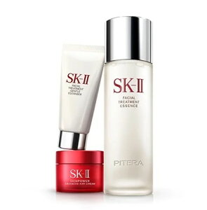 skii トライアルの人気商品・通販・価格比較 - 価格.com
