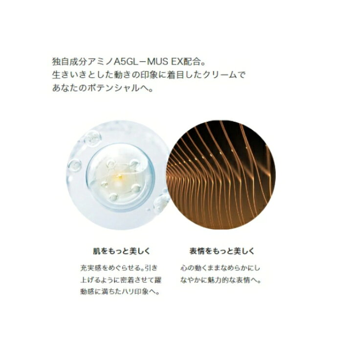 楽天市場】IPSA(イプサ) クリームキット クリーム アルティメイトe 
