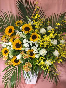 開店祝い 花 アレンジの人気商品 通販 価格比較 価格 Com 開店祝い 花 アレンジの人気商品 通販 価格比較 価格 Com