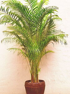 y23z ϗtA@AJV@ϗt A O[ JX J J@ I[v N j j j vH Vz ړ] h] I T CeA   JXj j J  