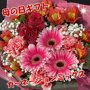 【母の日ギフト】 カーネーションミックスアレンジメント 母の日 ギフト カーネーション 送料無料 プレゼント 花 お花 アレンジメント 5000円 フラワーアレンジメント 可愛い 赤 ピンク バラ