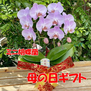 y̓Mtgz ~jӒ  ̓ Mtg v[g     m m  킢  Ӓ R`E 傤  sN IV v[
