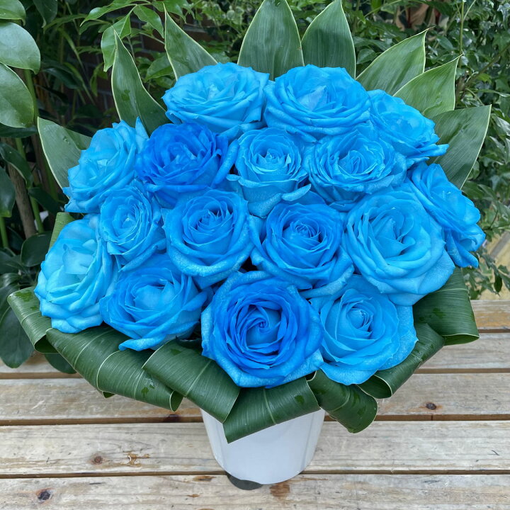 楽天市場 スカイブルー ローズ アレンジ 送料無料 母の日 ギフト プレゼント 花 おしゃれ 水色 青 青色 ブルー スカイブルー ローズ おすすめ 父の日 フラワーアレンジメント 夏ギフト 可愛い バラ フラワーアレンジ オシャレ 青いバラ 水色のバラ clover 楽天市場 スカイブルー ローズ アレンジ 送料無料 母の日 ギフト プレゼント 花 おしゃれ 水色 青 青色 ブルー スカイブルー ローズ おすすめ 父の日 フラワーアレンジメント 夏ギフト 可愛い バラ フラワーアレンジ オシャレ 青いバラ 水色のバラ clover