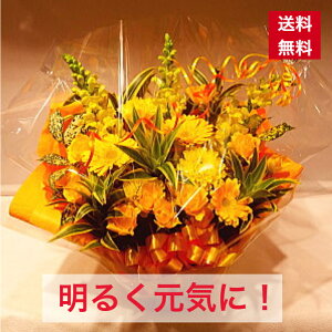 AWg Fn t[AW  zCgf[ ̓ AW  Mtg N JX JXj I[v j j j a aj a ̓ o[Xf[  