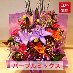 AWg n t[AW  AW  Mtg N JX JXj I[v j j a aj a ̓ hV̓ o[Xf[   y \