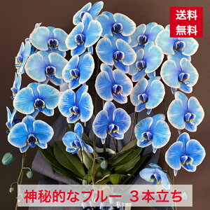 Ӓ u[ 3{  ̓ j JX J J@ N j ړ] i Vz AC I j a vH jMtg h] \ o[Xf[ y   m I[v u