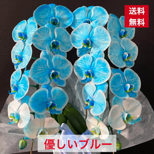 Ӓ F 2{  ̓ j JX J J@ N j ړ] i Vz AC j a jMtg h] \ m I[v FӒ u[Ӓ iID 3322 Ӓ