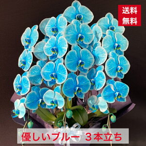 Ӓ F 3{  ̓ j JX J J@ N j ړ] i Vz AC I j a ̓ \ W o[Xf[  I[v FӒ u[Ӓ 8209 Ӓ