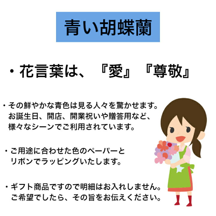 楽天市場 ブルー ミニ胡蝶蘭 送料無料 ギフト 青 コチョウラン お祝い 開店 御祝 移転 祝 誕生日 お祝いギフト バースデー 花 父の日 洋ラン オープン アマビリス 胡蝶蘭 ブルー胡蝶蘭 青胡蝶蘭 青い胡蝶蘭 敬老の日 敬老 賀寿 喜寿 古希 カラー胡蝶蘭 ｃｌｏｖｅｒ
