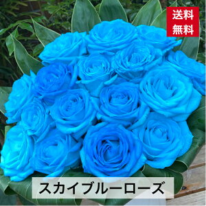 生花 アレンジメントフラワー 青の人気商品 通販 価格比較 価格 Com