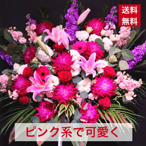 y23z X^h 1i sN  킢 fUC  JX J J J@ N ړ] j JXj j j I[v  Cu RT[g tX^ t[X