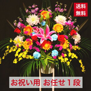価格 Com スタンド花の人気ランキング 選び方 価格 Com スタンド花の人気ランキング 選び方