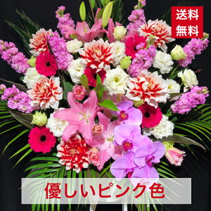 y23z X^h 1i DsN sNn   JX J J J@ N ړ] j JXj j j I[v  Cu RT[g tX^ t[X^h 