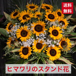 y23z X^h 1i F q} Ђ܂   JX J J J@ N ړ] j JXj j j I[v  Cu RT[g tX^ t[X^