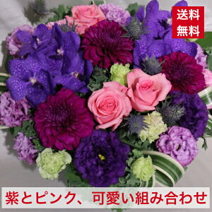 AWg  sN  zCgf[ F sNF p[v hV̓ hV Ê  җ  a aj LO  JX J@ j j j I[v  iID 