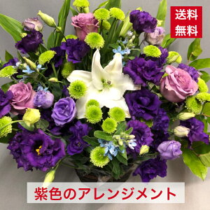 AWg  ؃AWg  F n p[v hV̓ hV Ê  җ  a  JX N ړ] j j j I[v  2422  IV 