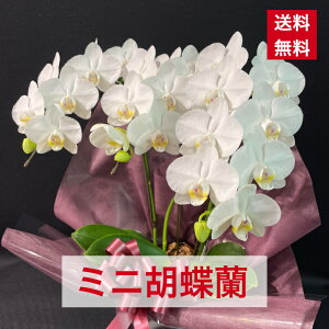 ~j Ӓ   R`E  JX J J@ I[v N j j j AC i Vz Mtg hV̓  ފ 䋟  䋟    \ 4204 W v