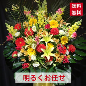 y23z X^h 1i 邭C 邢 ܂ 邭 邢 邢F  JX J J ړ] j JXj j j I[v  Cu RT[g tX^