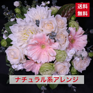 AWg i`n D F ̓  zCgf[ i` W WF R WF ₳ F ފ 䋟 䋟  hV hV̓ 1566  A