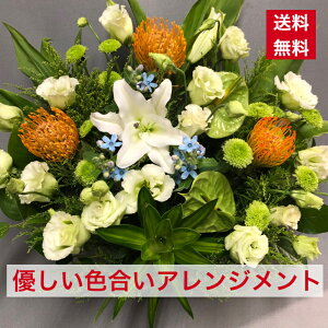 AWg DF  F ₳ DF ₳F ₳F n Όn aj JXj JƏj y ފ 䋟 䋟   iID 1594 