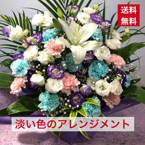 AWg WF̃AWg  F WF DF pXeJ[ W pXe DF ₳F y ފ 䋟 䋟   iID 2561 