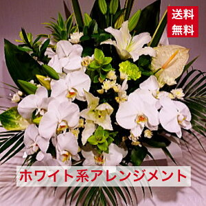 AWg zCgn AWg  zCg  F n Fn aj JXj JƏj y ފ 䋟 䋟   iID 5739  AW