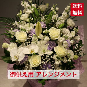 AWg 䋟p p  WF W   F n V Vp Ȃ ފ 䋟 䋟   iID 5721  AWg IV t[AW 