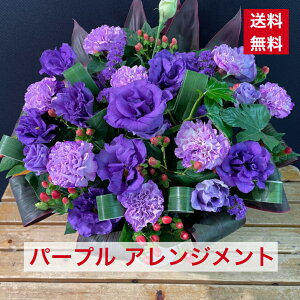 AWg p[vn n  p[v  oCIbg YȐF YȎ F hV̓ hV Ê  җ  ފ 䋟 䋟  8370 AWg IV A