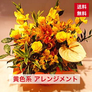 AWg Fn 邢F  F CG[ CG[n Fo F 邢 邭   aj ړ]j Nj JXj t[AW iID 1554 lC 