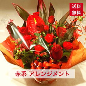 アレンジメント 赤系 送料無料 赤バラ 薔薇 赤い薔薇 情熱 愛 アンスリューム 花 生花 誕生日祝い 移転祝い 周年祝い クリスマス 2405 人気 生誕 おしゃれ オシャレ アレンジ花 バレンタイン バレンタインギフト バレンタインデー 父の日 おすすめ