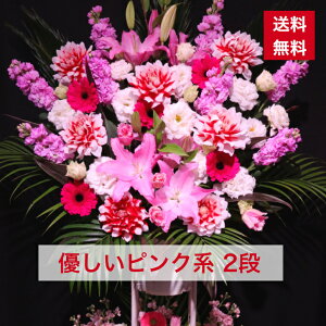 【東京23区限定】 スタンド花 2段 優しいピンク系 ピンク ピンク色 ピンク系 送料無料 優しい色 開店祝い 移転祝い 竣工 花 生花 誕生日 バースデー 豪華 おしゃれ オシャレ フラスタ フラワ