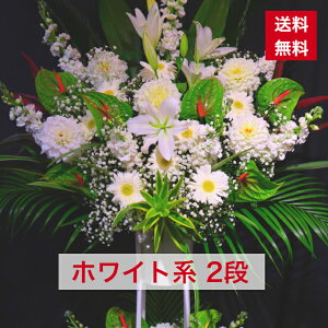 y23z X^h 2i zCgn  zCg n  JXj ړ]j vH   a o[Xf[   IV tX^ t[X^h X^t X