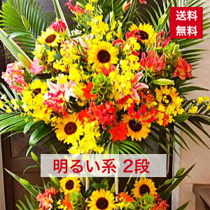 y23z X^h 2i 邢n 邭 ؂₩ ͂Ȃ₩  邢 JXj d ړ]j vH   a o[Xf[   IV tX^ t[X^