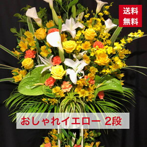 y23z X^h 2i Ԍn  CG[ Fn F  JXj ړ]j vH   a o[Xf[  {[ aj IV tX^ t[