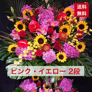 y23z X^h 2i sN CG[ F sNF ɂ₩  JXj ړ]j vH   a o[Xf[   {[ aj IV t