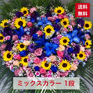 y23z X^h 1i ~bNXJ[ J[ ~bNX  ɂ₩ JXj ړ]j vH   a o[Xf[   {[ aj IV t