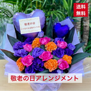 o[t[ hV̓   ΂ hV Ê  Ď ËH җ  j j j o[  F t[AW AWg  Mtg ԃM