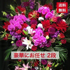 y23z X^h 2i  ܂ {[ C  JXj ړ]j vH   a o[Xf[   {[ aj IV tX^ t