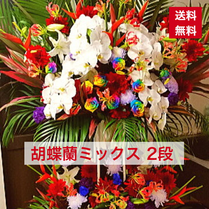 楽天市場 東京23区限定 スタンド花 2段 胡蝶蘭ミックス 豪華に 派手に 派手 送料無料 開店祝い 移転祝い 竣工 花 生花 誕生日 バースデー 豪華 おしゃれ ボリューム 誕生日祝い オシャレ フラスタ フラワースタンド スタフラ スタンドフラワー 商品id 5792 スタンド