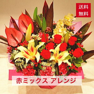 AWg ԃ~bNX  ԐF AW bh J[ JXj aj a iID 2509 LO  o^C o^CMtg o^Cf[ `R `R[