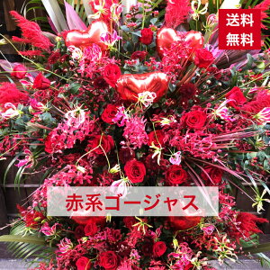 y23z X^h Ԍn S[WX i 邭   JXj ړ]j vH   a o[Xf[   {[ aj IV tX^ t