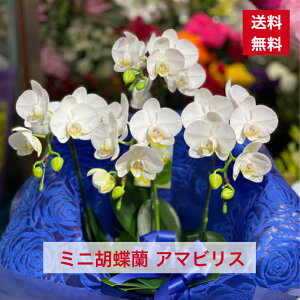 ID1014 ~jӒ  A}rX    m  R`E m ̓ hV hV̓ lC bZ[W    A 킢 A v  Ԕ  v I