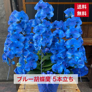 u[Ӓ 5{  u[  j Ӓ R`E JX J J@ j ̓ ̓ ړ] j a o[Xf[  I[v u[̌Ӓ Ӓ Ӓ iI