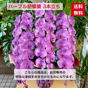 Ӓ  p[v 3{  hV̓ hV Ê  Ď ËH җ  j j j j Ӓ Ӓ ̌Ӓ F̌Ӓ p[vӒ F iID a 