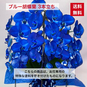 Ӓ u[ 3{  j JX J J@ N j ړ] i Vz AC I j a vH jMtg ̓ h] \ W  o[Xf[ m I[v u[Ӓ