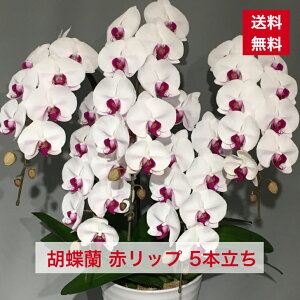 iID1011 Ӓ ԃbv  5{  Ԗ Ԕ  g R`E 傤 hV hV̓ aj JXj Vz Vzj I Ij y  {[