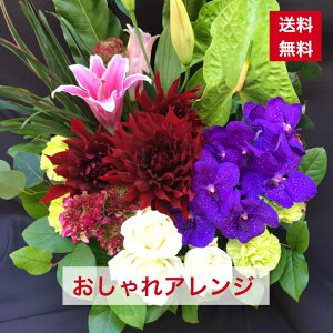 AWg C  AW  t[AW AW JXj I[vj aj j LO  y   {[ IV 蕨 Mt