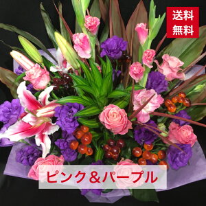 AWg sN  p[v  t[AW AW JXj I[vj aj j LO  y    {[ IV 蕨 