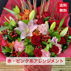 AWg ԁEsN AW  ԐF AW bh J[ JXj aj a iID 4616 LO  o^C o^CMtg o^Cf[ `R `